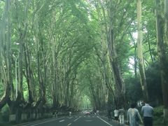 -南京凤凰台饭店