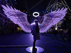 -锦江乐园舞狸花花游园会(夜场专享)