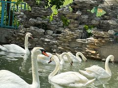 -水上乐园·欢乐世界