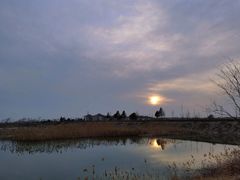 -泗洪洪泽湖湿地景区