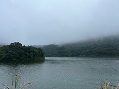 -广州市石门国家森林公园
