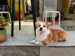 -小梁哥云吞面(黄贝岭店)