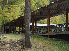 -苏木山森林公园