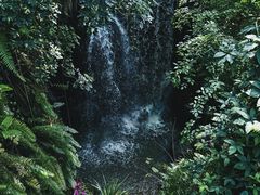 -中国科学院华南植物园