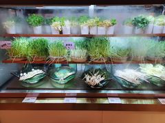 -串一火锅(赛格国际购物中心店)