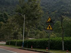 -火炉山森林公园
