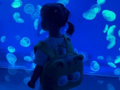 -江和美海洋公园