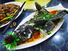 -七鲜渔港美食餐厅(巽寮湾海景店)