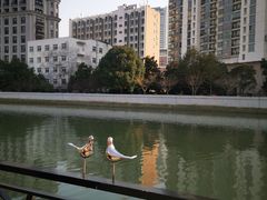 -苏州河梦清园环保主题公园