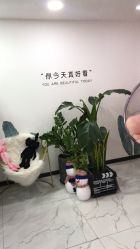 -久匠·野生眉半永久纹眉