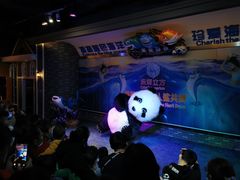 -成都浩海立方海洋公园