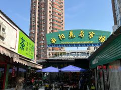 -曲阳花鸟市场(曲阳路店)
