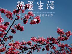 -大宁公园