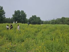 -长白岛森林公园