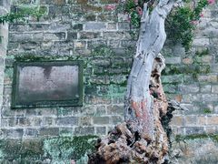 -昆明市金殿名胜区