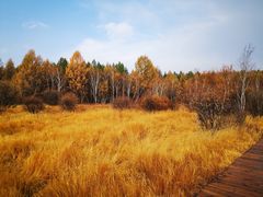 -塞罕坝国家级自然保护区