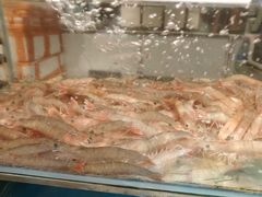 -东宴(温岭店)