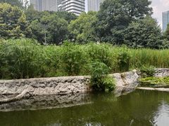 -成都市活水公园