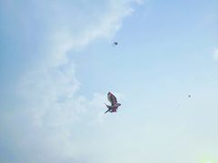 -风云岭森林公园