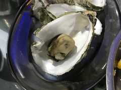 -石岐乳鸽村(南海第三分店)
