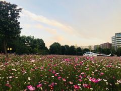 -南京航空航天大学(将军路校区)