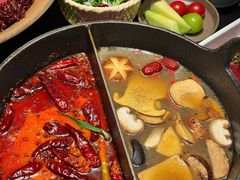 -大龙燚·旷野鲜火锅(广州首店)