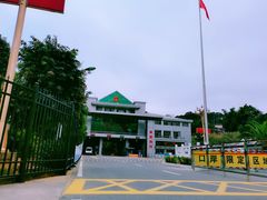 -打洛口岸