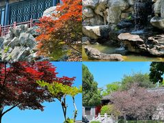 -口岸雕花楼