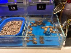 -加餐海鲜自助(宝龙一城店)