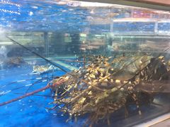 -盒马鲜生(莱蒙都会店)