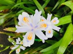 -万达影城(长沙婚庆公园中国巨幕店)