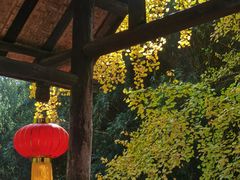 -黄龙溪古镇