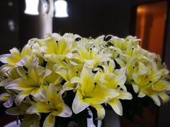 -农汤老店(顺联公园里店)