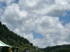 -武陵山森林公园