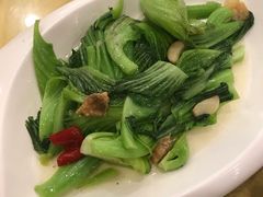 -姚林轩