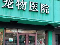 -安安宠医·安宠宠物医院