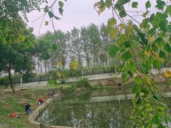 -汉水公园