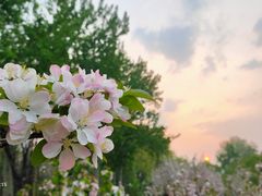 -海棠花溪(元大都城垣遗址公园)