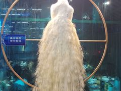 -雀舞云南菜(乐客城店)