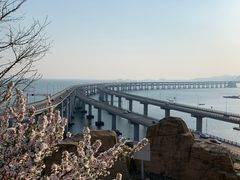 -星海湾跨海大桥