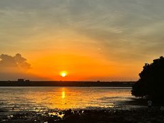 -宝安西湾红树林湿地公园