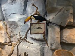 -Zoolung Zoolung动物主题公园(海信广场店)