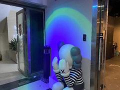-Mr.Fox狐狸先生超级密室(南山店)
