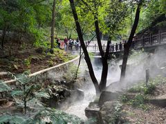 -北京西山国家森林公园