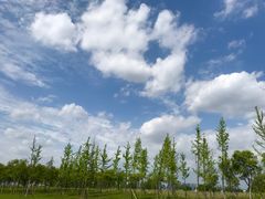 -洨河生态公园