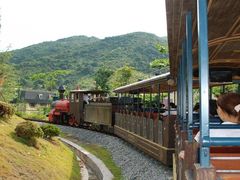 -合肥滨湖国家森林公园