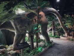 -恐龙探索乐园(磁器口店)