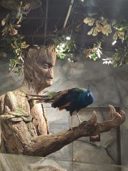 -Zoolung Zoolung动物主题公园(海信广场店)