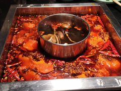 菌汤锅底-蜀江龙火锅(339店)
