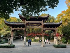 -杭州半山国家森林公园